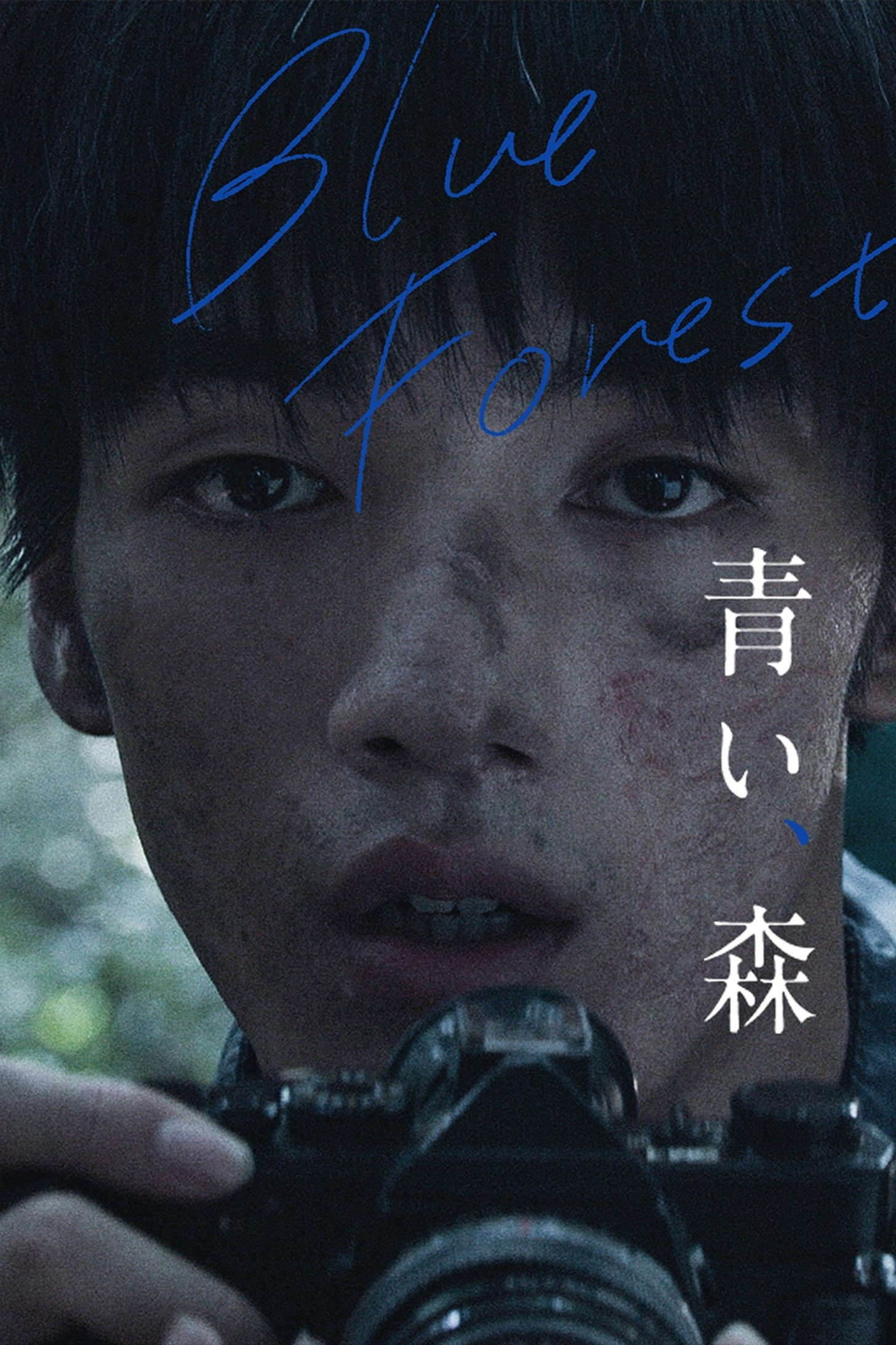 Blue, Forest poster