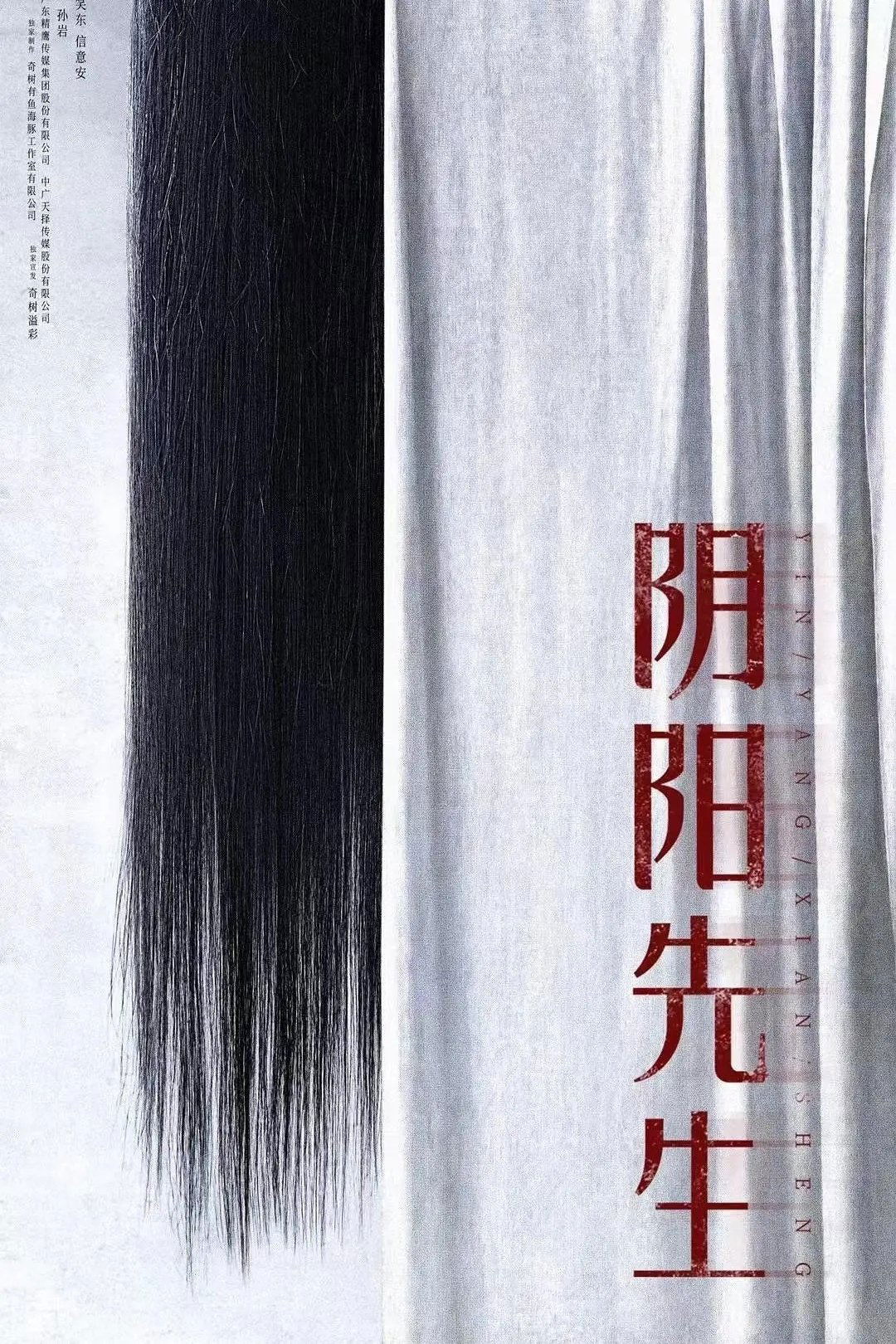 Mr Yin-Yang poster
