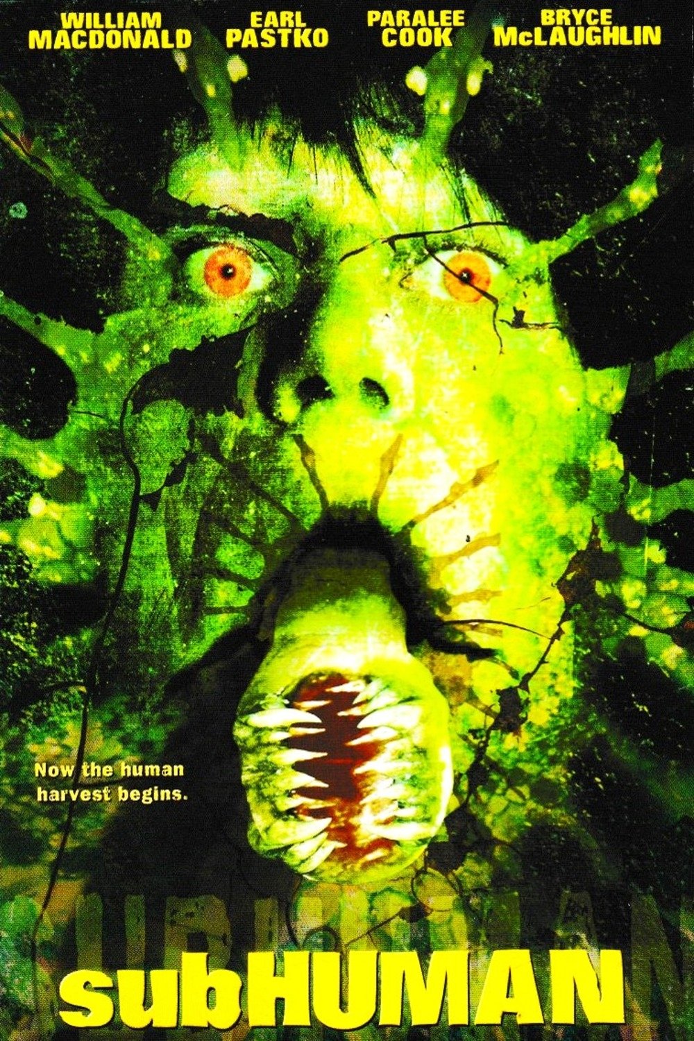 Shelf Life poster